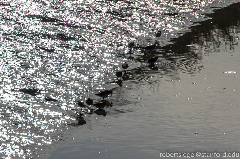 don edwards national shoreline